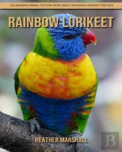 Rainbow Lorikeet