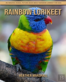Bertrand.pt - Rainbow Lorikeet