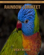 Rainbow Lorikeet