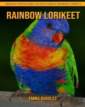 Rainbow Lorikeet