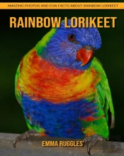 Rainbow Lorikeet