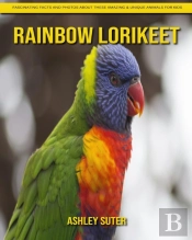 Rainbow Lorikeet