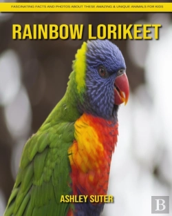 Bertrand.pt - Rainbow Lorikeet