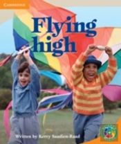 Rainbow Reading Level 4 - Festivals: Flying High Box B