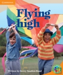 Bertrand.pt - Rainbow Reading Level 4 - Festivals: Flying High Box B