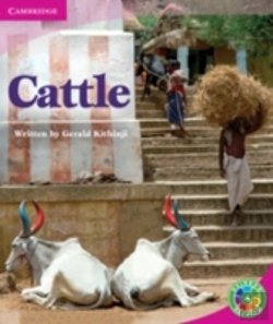 Bertrand.pt - Rainbow Reading Level 4 - Life And Living: Cattle Box C