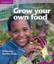 Rainbow Reading Level 4 - Life And Living: Grow Your Own Food Box C