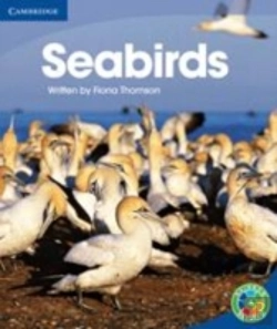 Bertrand.pt - Rainbow Reading Level 4 - Life And Living: Seabirds Box C