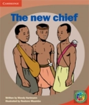 Rainbow Reading Level 4 - People: The New Chief Box A