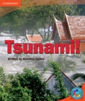 Rainbow Reading Level 5 - Landscape: Tsunami! Box D