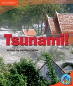 Bertrand.pt - Rainbow Reading Level 5 - Landscape: Tsunami! Box D