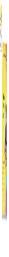 Rainbow Reading Yellow Series-