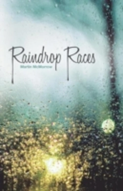 Bertrand.pt - Raindrop Races