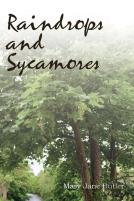 Raindrops And Sycamores
