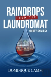 Raindrops From The Laundromat