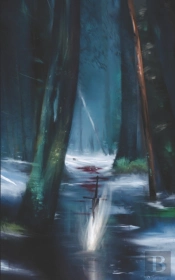 Rainfall