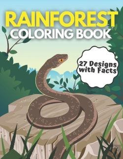 Bertrand.pt - Rainforest Coloring Book