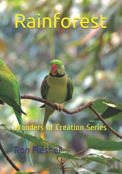 Bertrand.pt - Rainforest