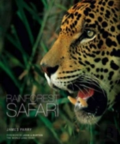 Rainforest Safari