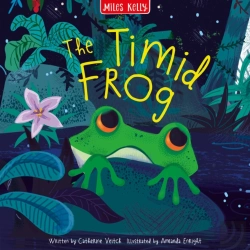 Bertrand.pt - Rainforest Timid Frog