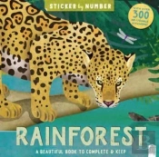 Rainforest