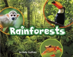 Bertrand.pt - Rainforests