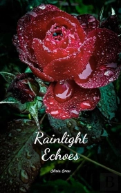 Rainlight Echoes