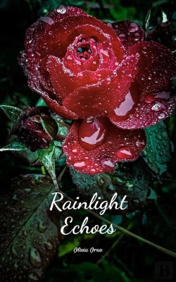 Bertrand.pt - Rainlight Echoes