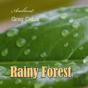 Rainy Forest