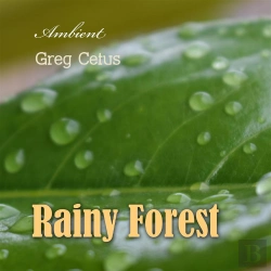 Bertrand.pt - Rainy Forest