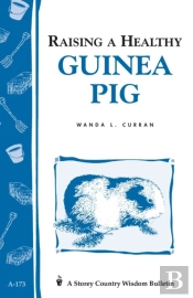 Raising A Healthy Guinea Pig
