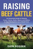 Raising Beef Cattle