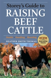 Raising Beef Cattle