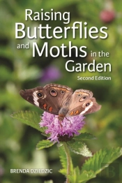 Raising Butterflies And Moths In The Garden