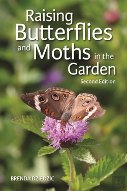 Bertrand.pt - Raising Butterflies And Moths In The Garden