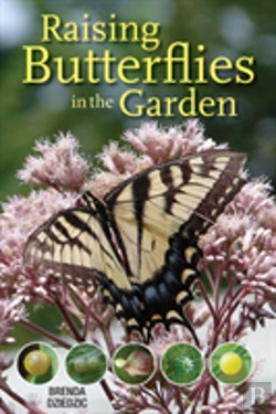 Bertrand.pt - Raising Butterflies In The Garden