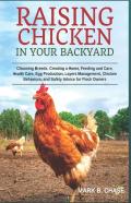 Raising Chickens In Your Backyard
