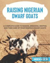 Raising Nigerian Dwarf Goats