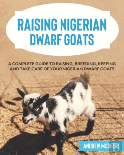 Bertrand.pt - Raising Nigerian Dwarf Goats