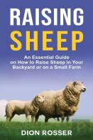 Raising Sheep