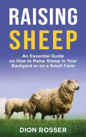 Raising Sheep