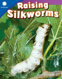 Bertrand.pt - Raising Silkworms