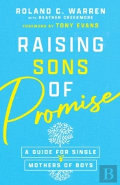 Raising Sons Of Promise Â€“ A Guide For Single Mothers Of Boys