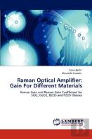 Raman Optical Amplifier