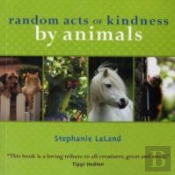 Random Acts Of Kindness By Animals