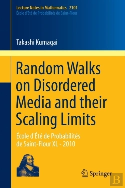 Bertrand.pt - Random Walks On Disordered Media And Their Scaling Limits