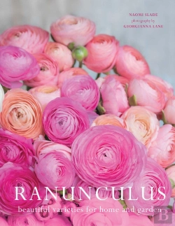 Bertrand.pt - Ranuculus