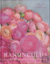 Ranunculus