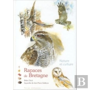 Rapaces De Bretagne
