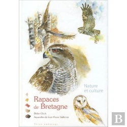 Bertrand.pt - Rapaces De Bretagne